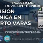 Revisión técnica en Puerto Varas